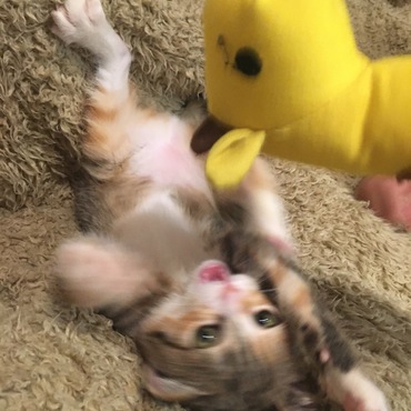の写真