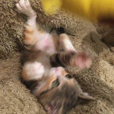 の写真