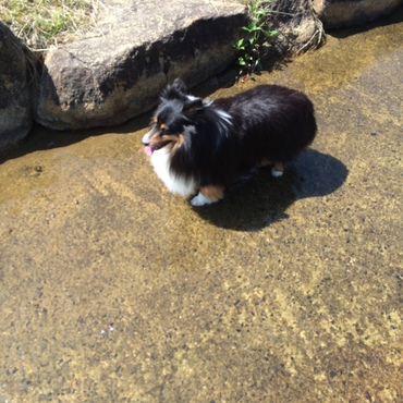 はじめてのみずあそび