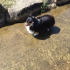はじめてのみずあそび