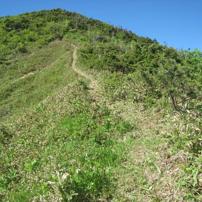 おふoeufのカバー写真