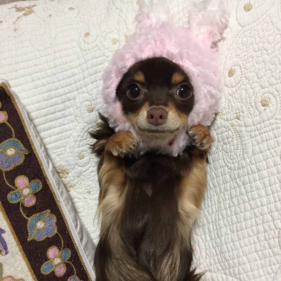 小町のカバー写真