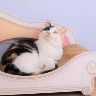 兄弟想いの優しいお姉ちゃん☆シロップちゃん