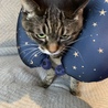 ななこ