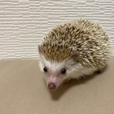 の写真