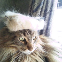 「トナリノ・シュリンプ大統領再び！」サムネイル2