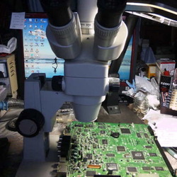 「トナリノ・シュリンプ大統領再び！」サムネイル3