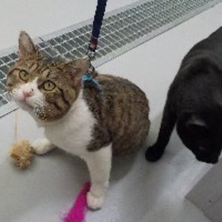 【最終期限】1/31人間大好き。性格◎な男の子！！