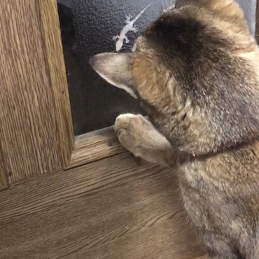 なんだコイツ⁉︎