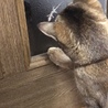 なんだコイツ⁉︎