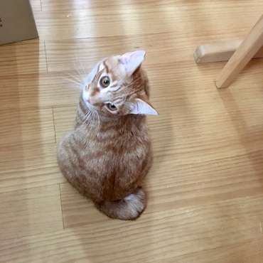 の写真