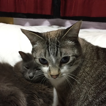 イシちゃんの写真