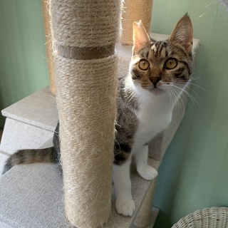 甘えたくて、ずっとのままを探しています♡