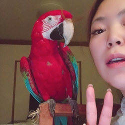 もし私が里子出すなら