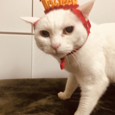 凄く迷惑そう
