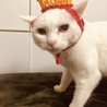 凄く迷惑そう