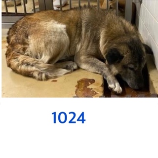 引き出されました