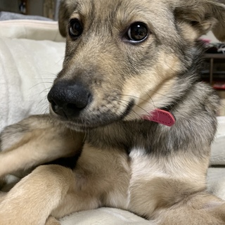 本当の家族ができました。