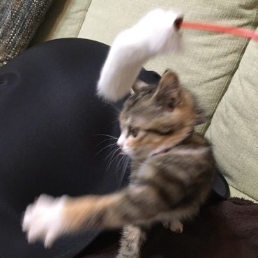 の写真
