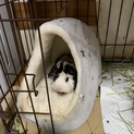 クルクルです。