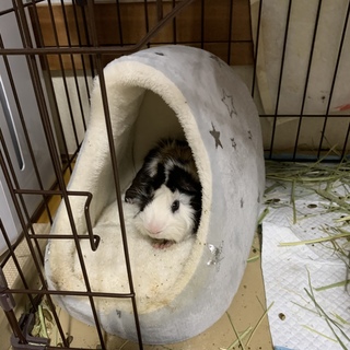 クルクルです。