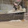 クルクルです。 サムネイル2