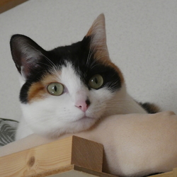 「2019フォトブック」サムネイル2