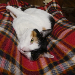 「2019フォトブック」サムネイル3