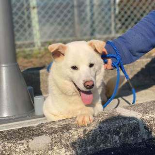 この子を助けてください。