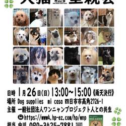 wnpワンニャンプロジェクト犬猫里親会