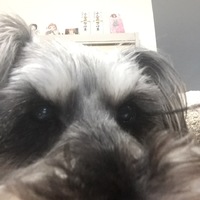 メルル