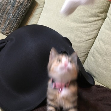 の写真