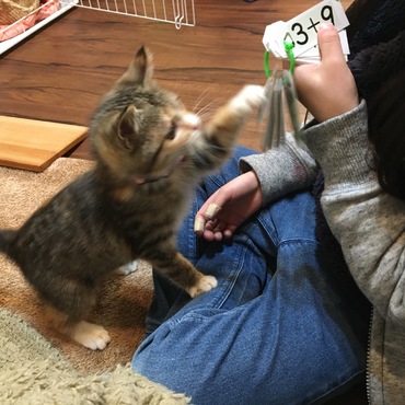 の写真