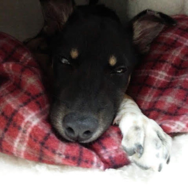 もか☆この前はお手紙ありがとう❤️なっつチャンのこと。。お願いしたよ☆