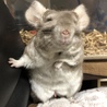 おじさん笑