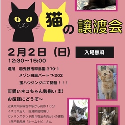 猫の譲渡会