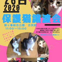 第6回 保護犬猫譲渡会 IN山口県