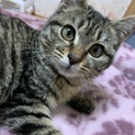 愛嬌たっぷりルルちゃん