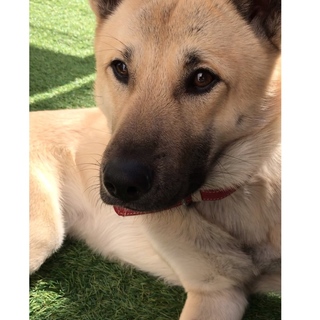 性格抜群⭐︎慶太君