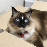 ミロ