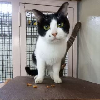 鼻の横のホクロがセクシーにゃ～