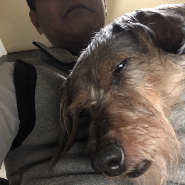toshi＿shishiのカバー写真