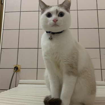 角度によるとまんまるに見えます。
