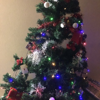 久留米市/黒♀ 里親募集