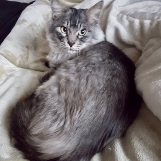 【3/8お台場】超構ってちゃんな長毛男子