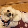 べべ  ベィエリア