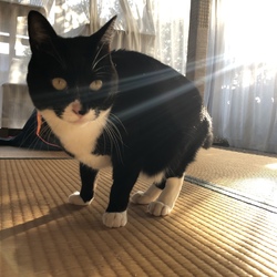 「体重測定　ミリとの距離」サムネイル2