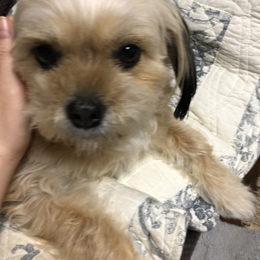 よしよし♪