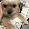 よしよし♪