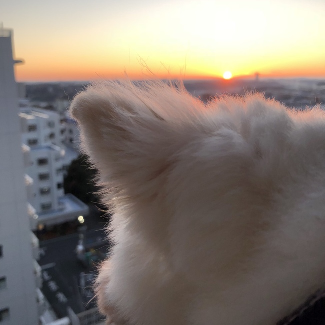 かおりん0811のカバー写真